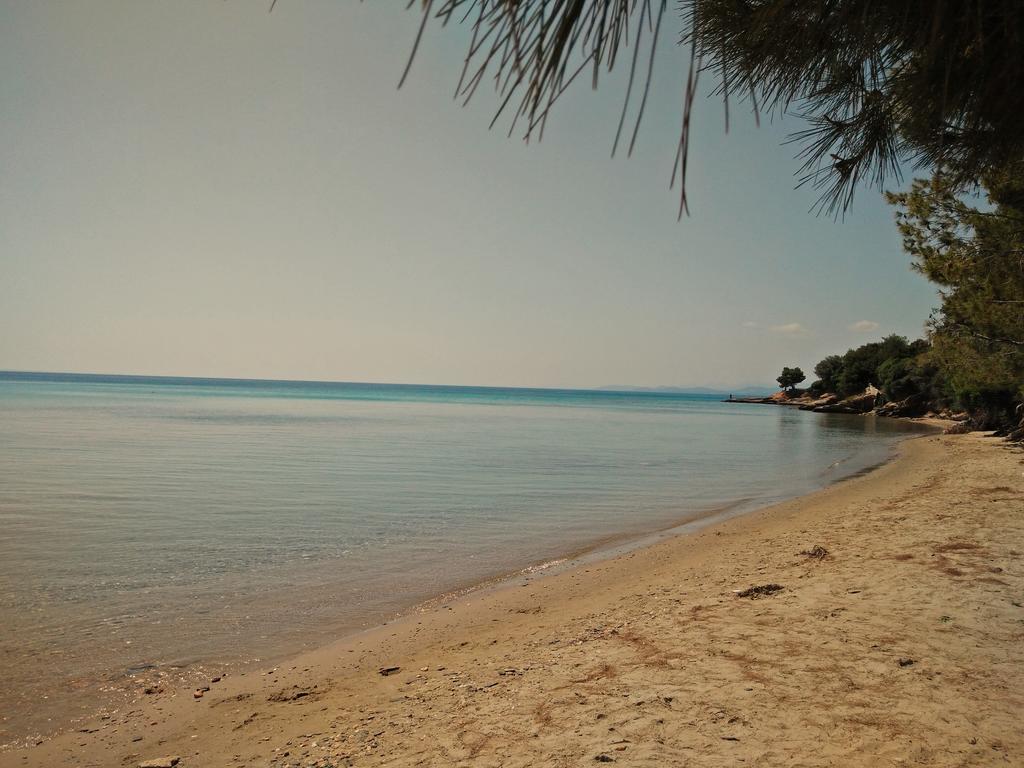 Moriel Seaside Homes Suites Elia Nikitis Exterior foto